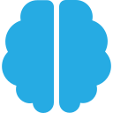 brain